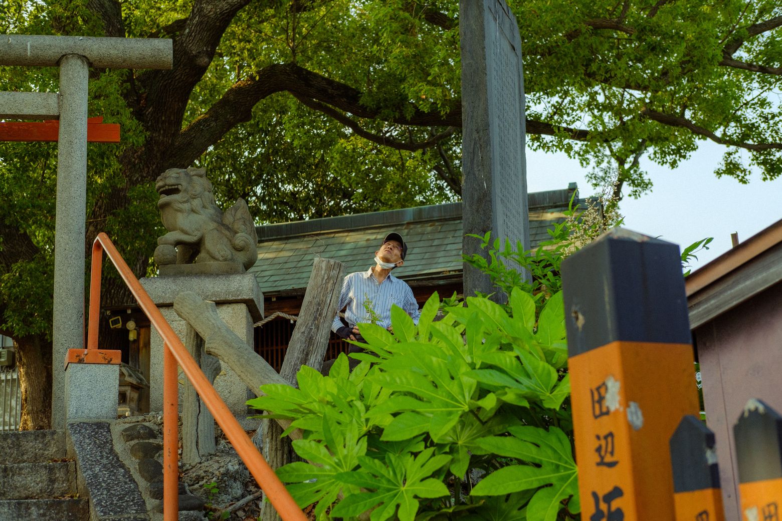 A person resting by a torii gate and mossy stone steps amid lush greenery
