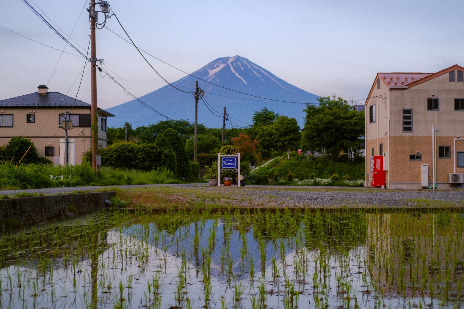 Mount Fuji rising beyond flooded rice fields and a roadside house