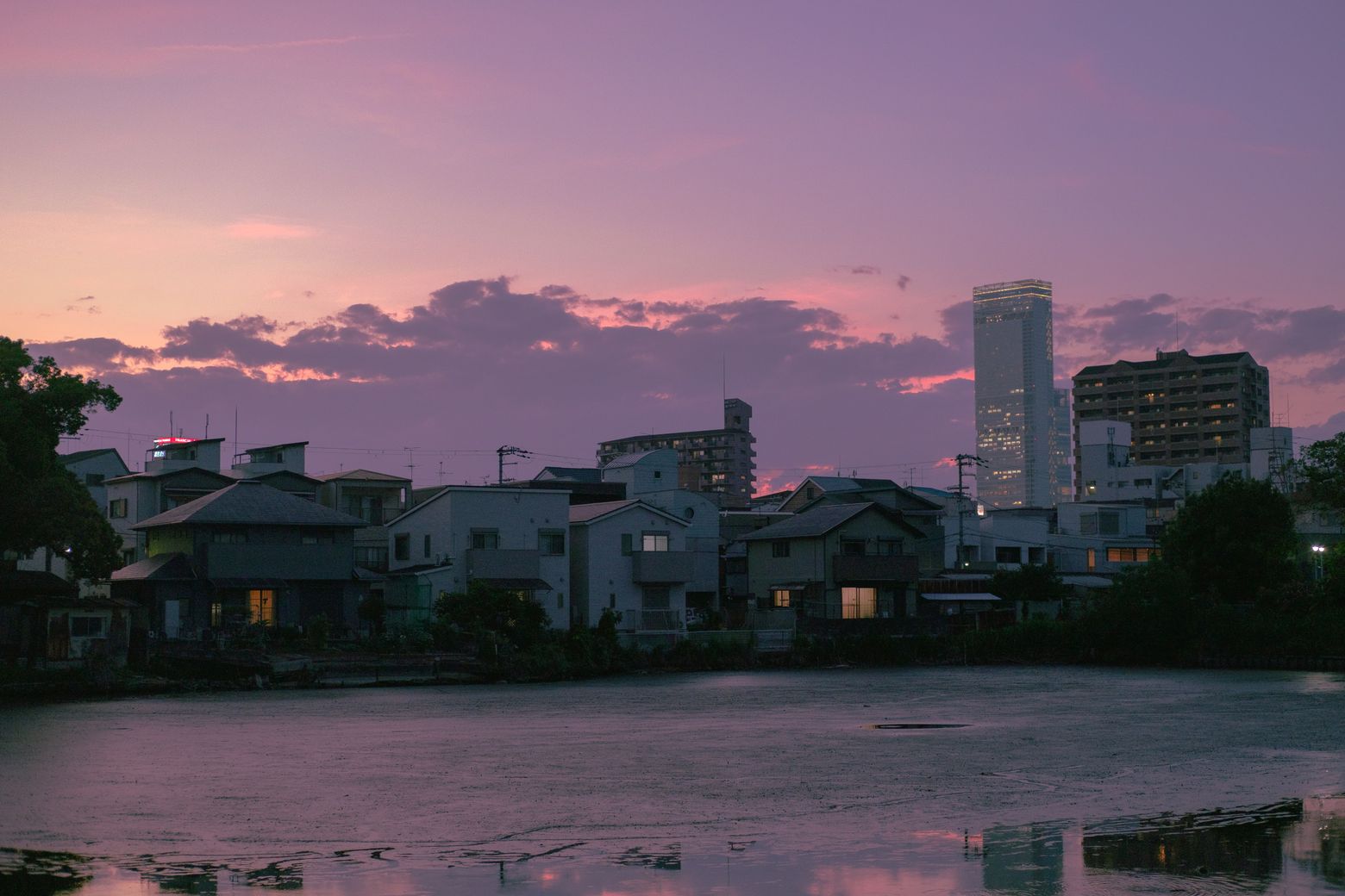A pink sunset glowing over a pond with city rooftops along the far bank
