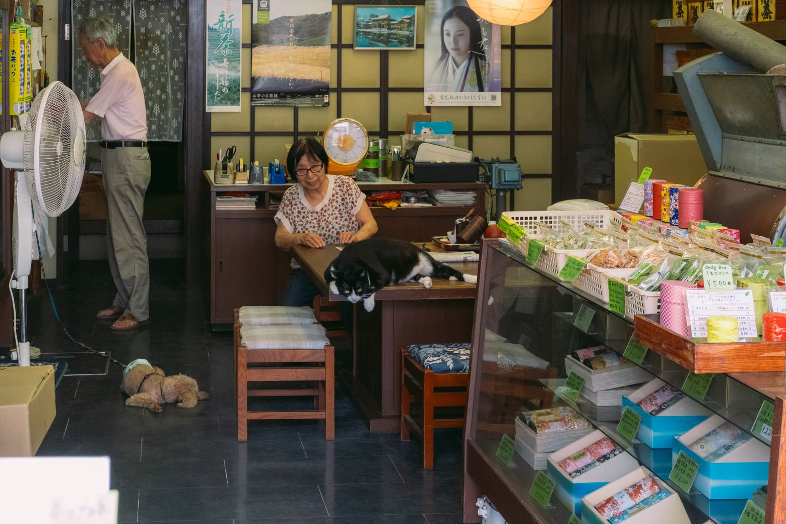 An elderly couple and a small dog inside a cozy traditional corner shop