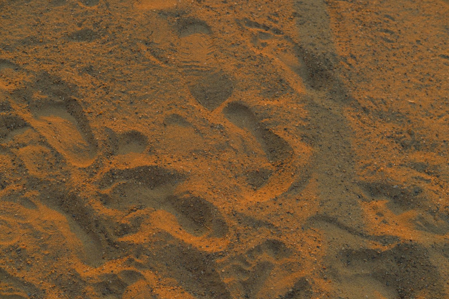 Close-up of rippled golden sand on a sunlit dune