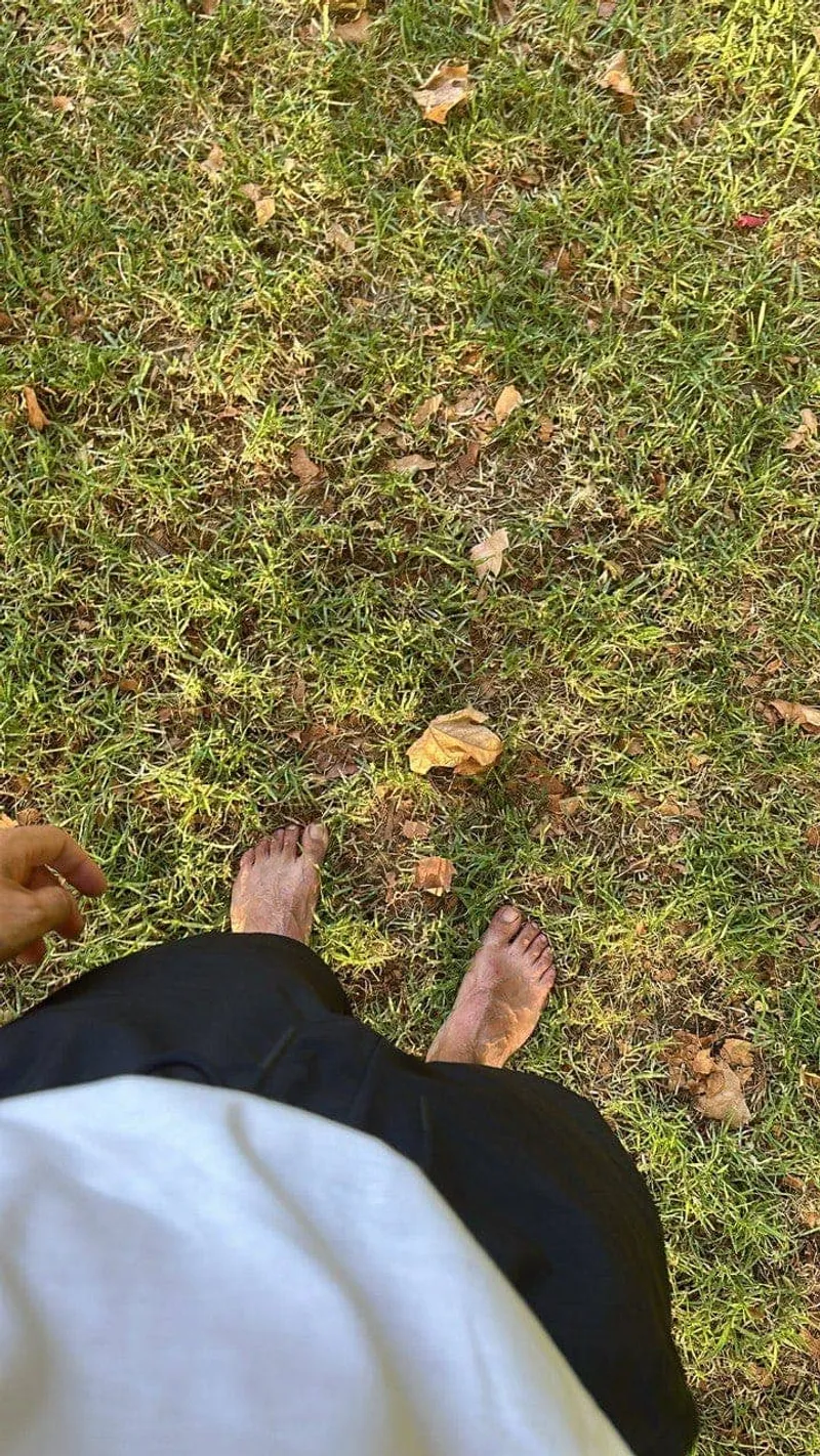 Grounding