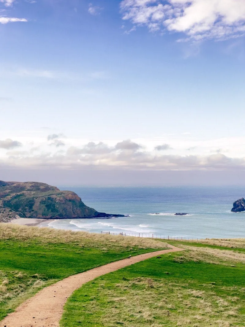 New Zealand