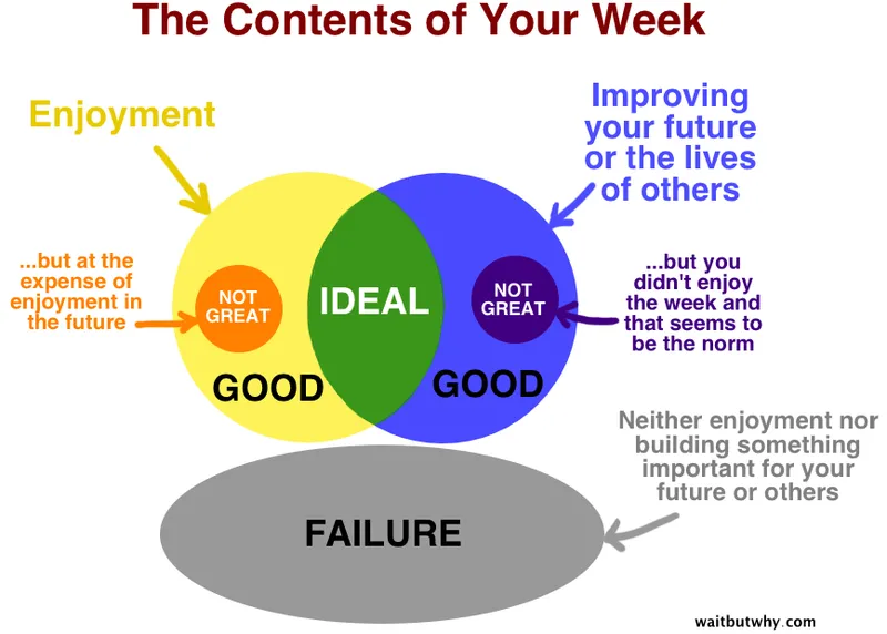 The Contents of Your Week