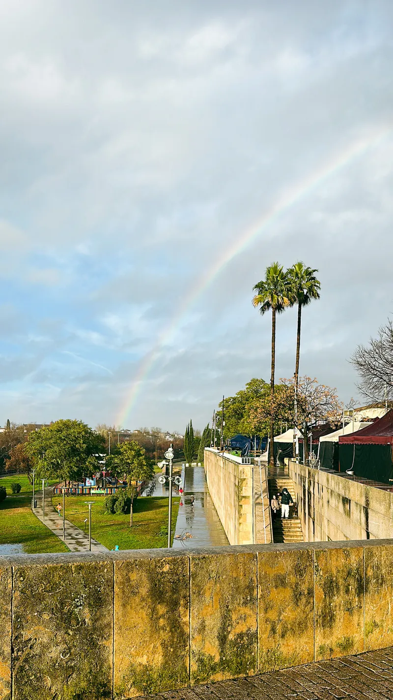 The rain and rainbows of those days