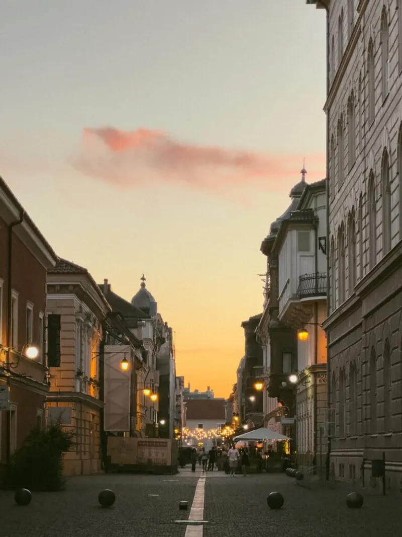 Timisoara