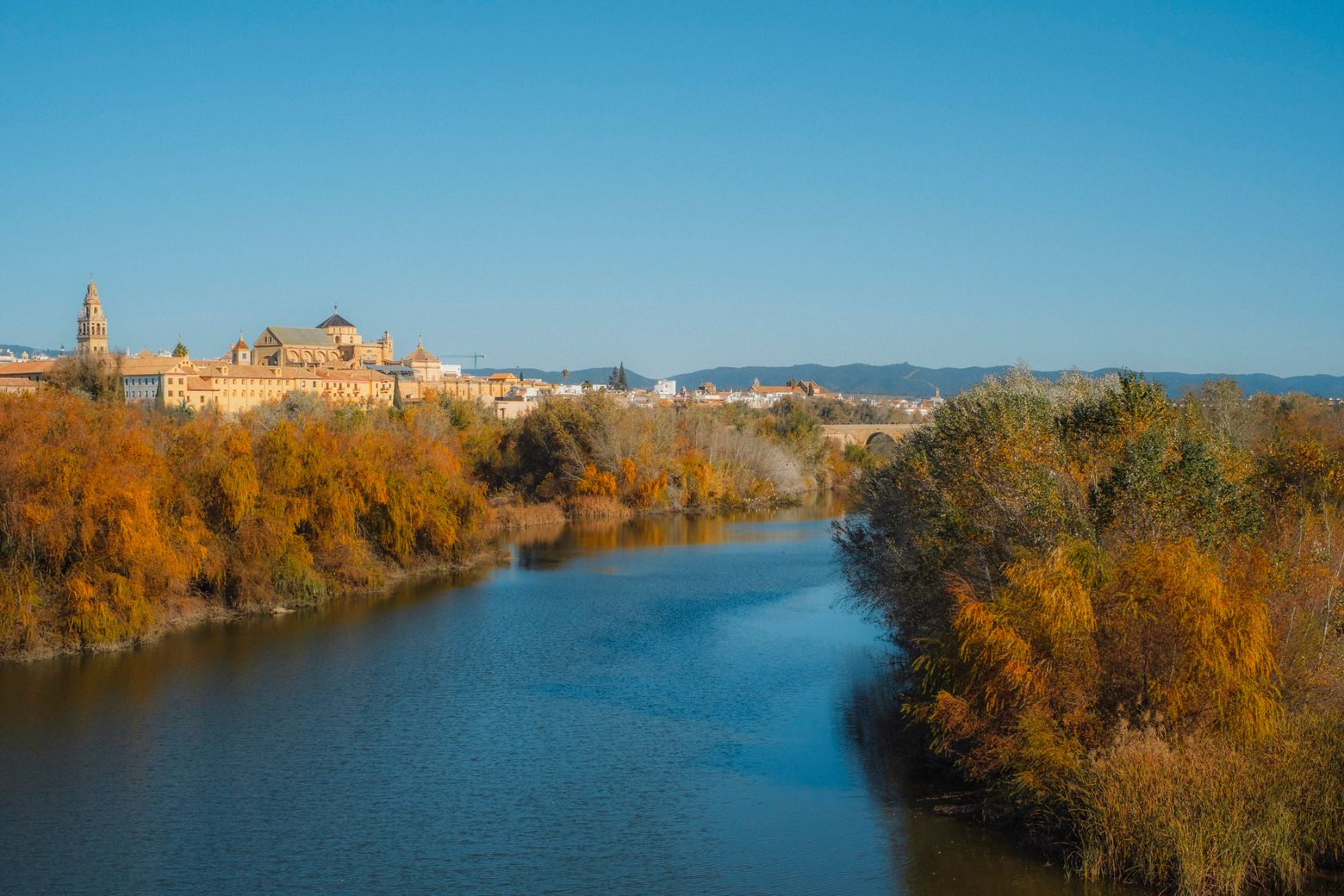 The skyline of Córdoba beyond the Guadalquivir river, framed by autumn trees