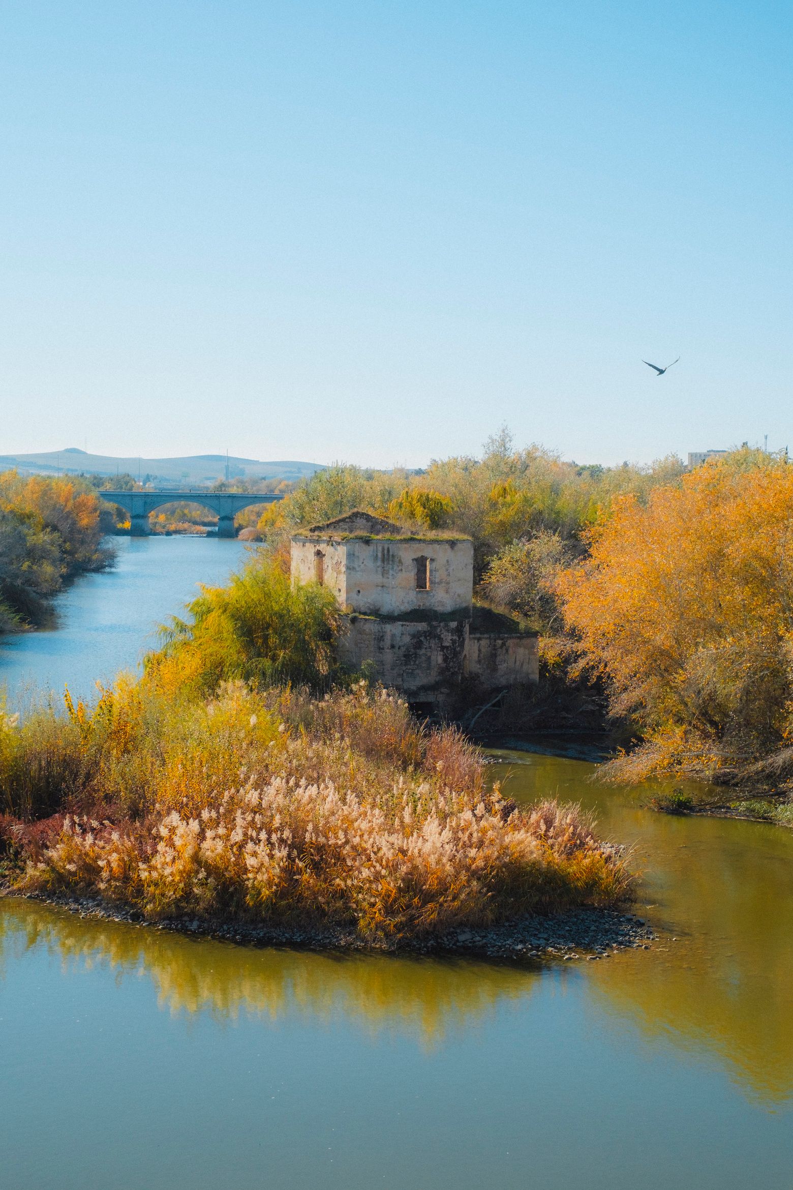 A ruined mill on an islet in the Guadalquivir river amid golden autumn foliage