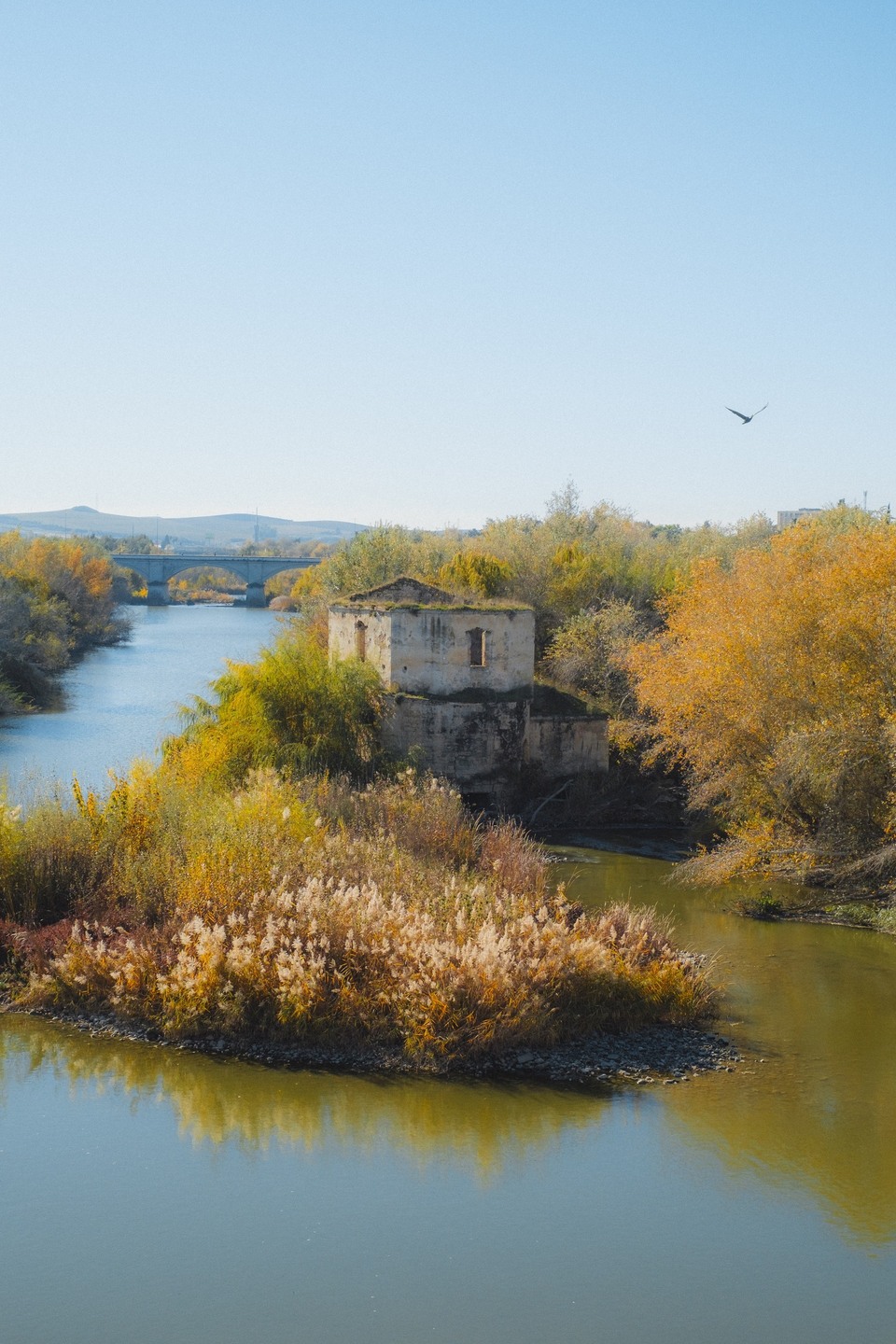 Winter in Córdoba