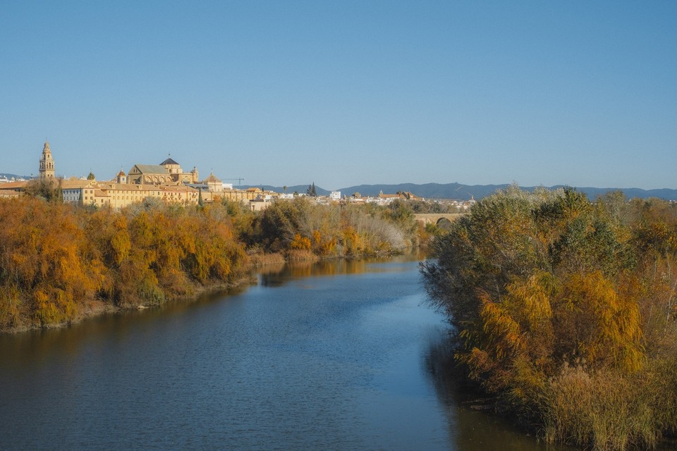 Winter in Córdoba 2